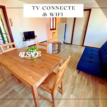 Les Oeillets Apartment Ensisheim